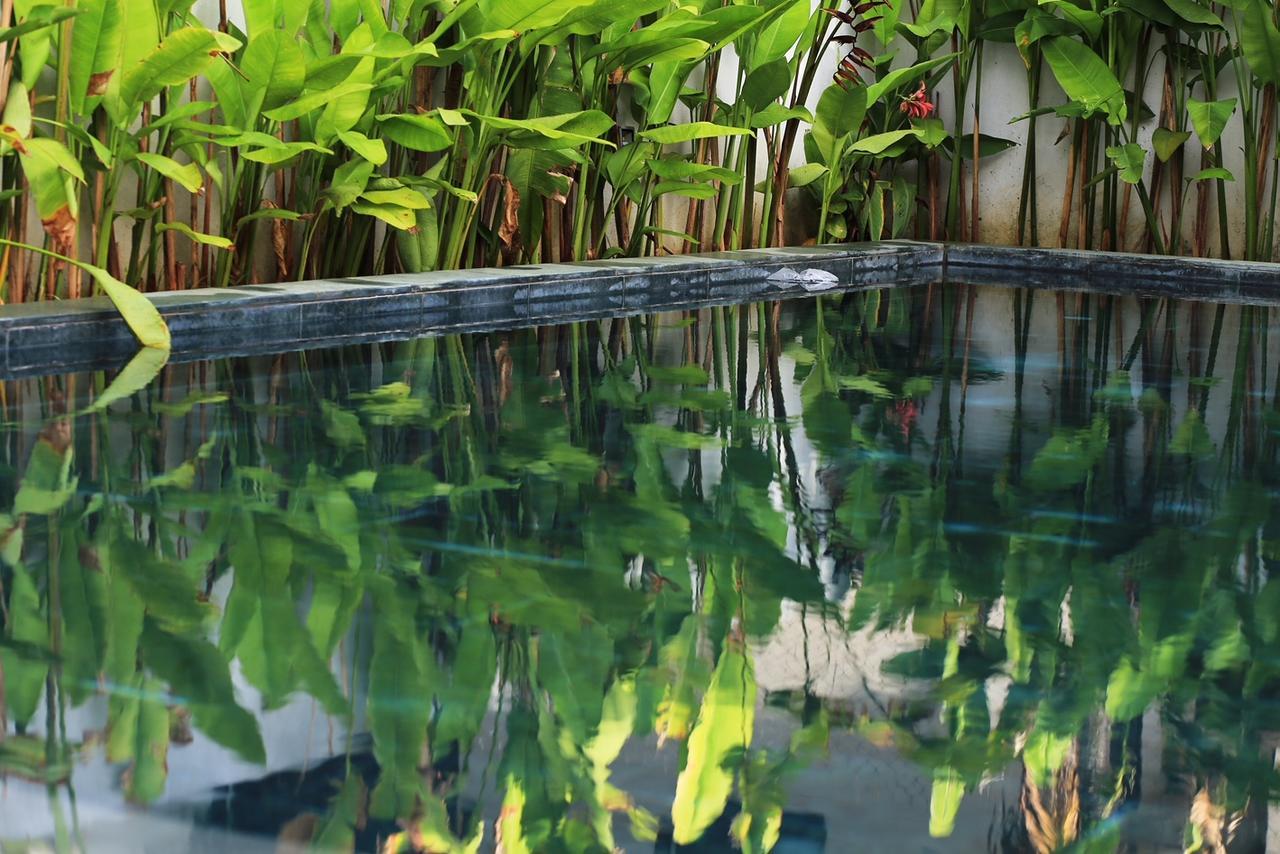 The Bau Bi Retreat Lejlighed Hoi An Eksteriør billede
