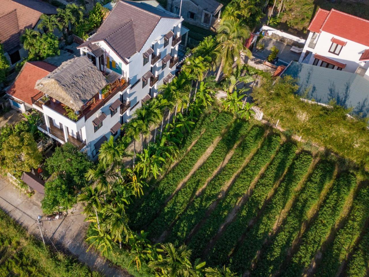 The Bau Bi Retreat Lejlighed Hoi An Eksteriør billede